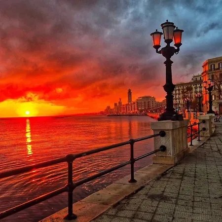 Heart Of Bari